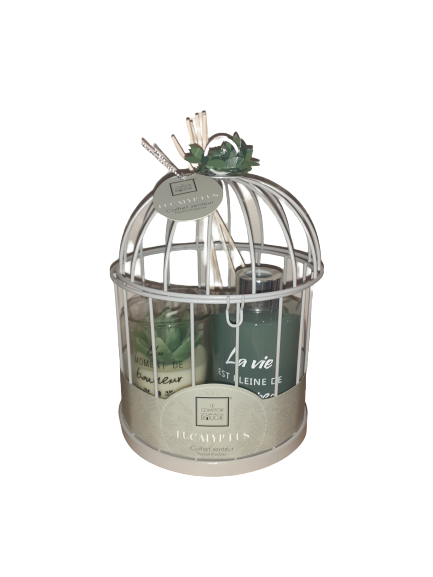 Petite cage vert pastel avec bougie et diffuseur de parfum à l'eucalyptus